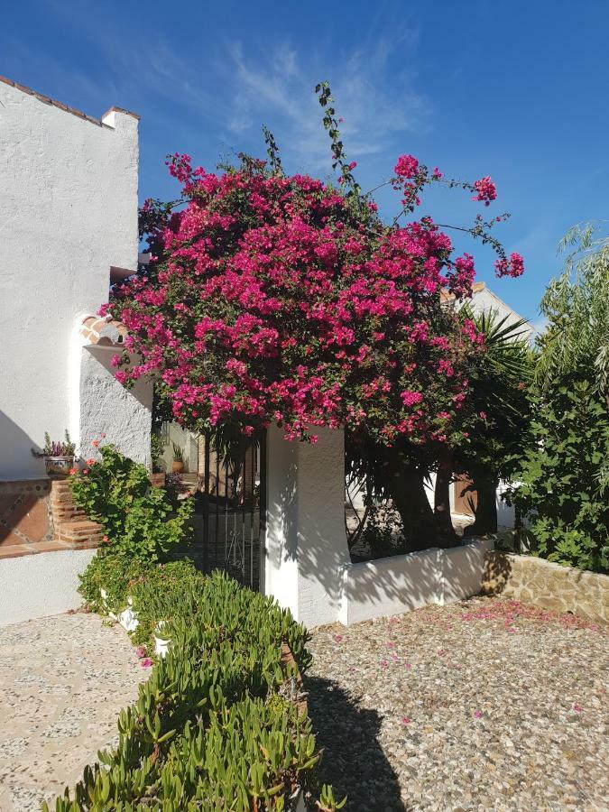 Gasthaus Casa Fuente De La Zorra Alora Exterior foto