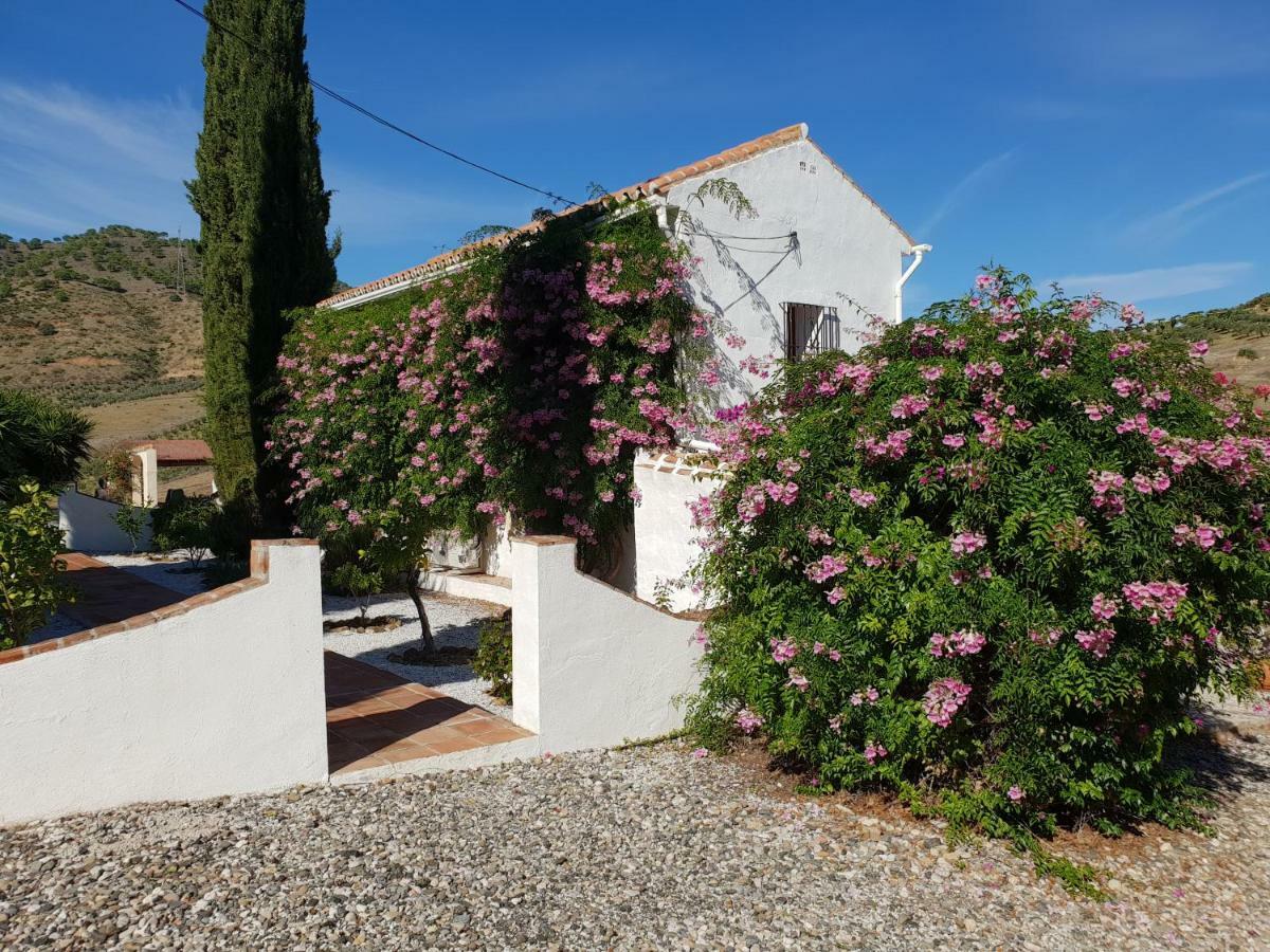 Gasthaus Casa Fuente De La Zorra Alora Exterior foto